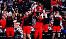 包含公牛队技术精湛，战术着实令人眼花缭乱的词条