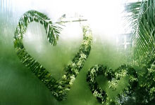 九游娱乐官网登录网址-捷纳帽子戏法助法兰克福胜门兴格拉德巴赫