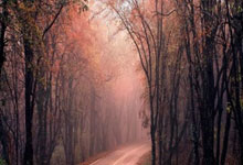 巴黎圣日耳曼败北，赛季终结