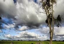 巴黎圣日耳曼败北，赛季终结