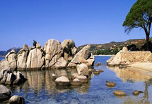 亚特兰大客场失利，争冠希望减弱