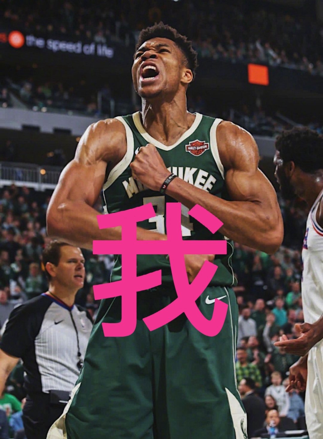 包含雄鹿主场力克热火，字母哥发挥抢眼的词条